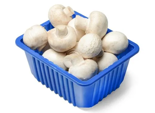 Fresh Button Mushrooms