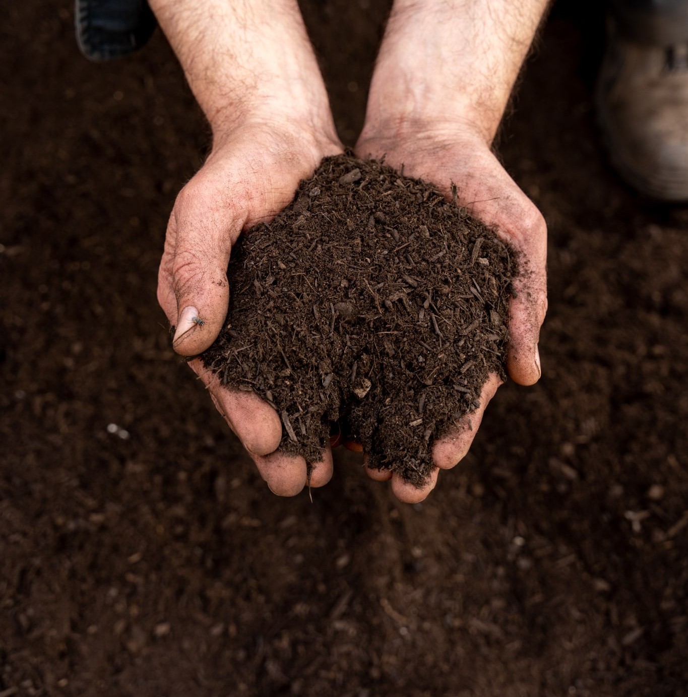 Organic Compost